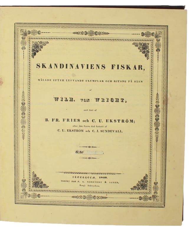 La Nation sous l'Empereur Edition Hachette 1948 . 1 volume in 8 - Broché - 500 pages . Couverture illustrée d'un portrait . Bon état .
