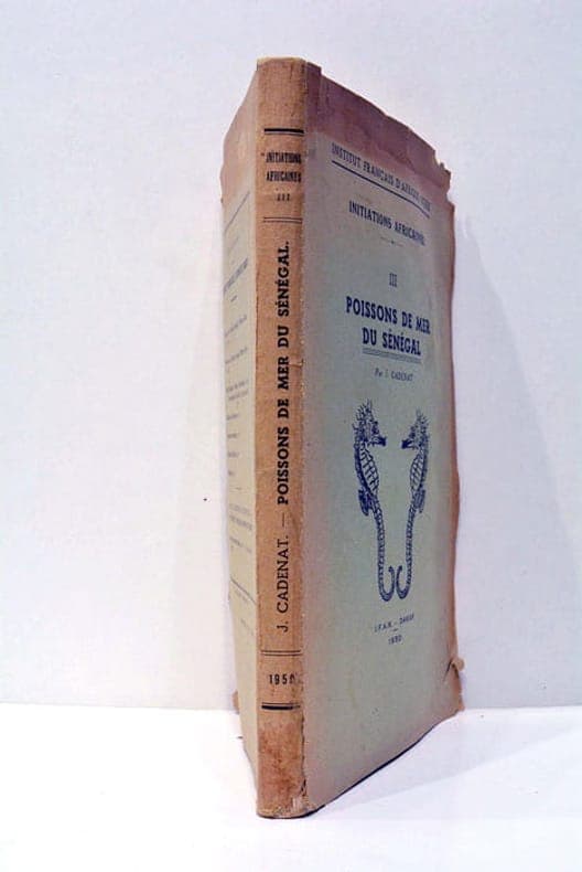 Quand Dieppe était anglais 1814-1914