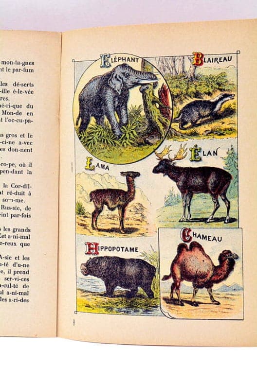 Histoire de la littérature Grecque 2 ° édition . augmentée . Paris Lib. THORIN et Fils Albert FONTEMOING EDITIEUR - 1896 5 volumes in 8 - 1/2 reliure chagrin